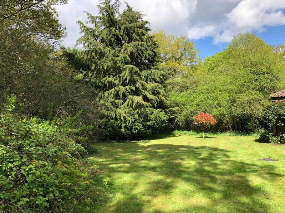 Forestry Cottage. Hot Tub, Open Fire, Dog Friendly Gaywood Eksteriør bilde