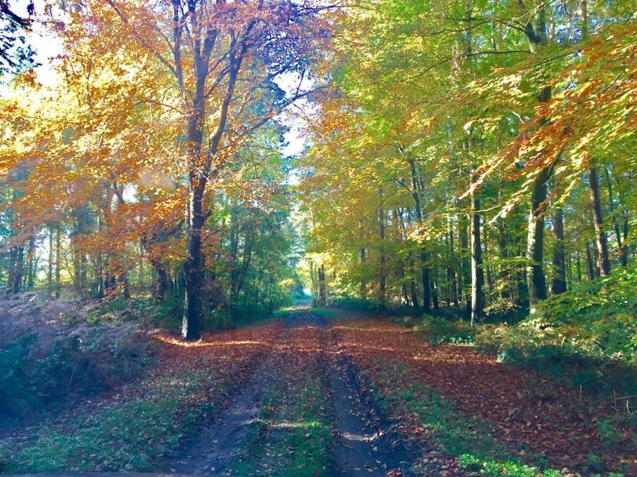 Forestry Cottage. Hot Tub, Open Fire, Dog Friendly Gaywood Eksteriør bilde