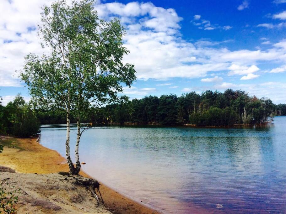 Forestry Cottage. Hot Tub, Open Fire, Dog Friendly Gaywood Eksteriør bilde