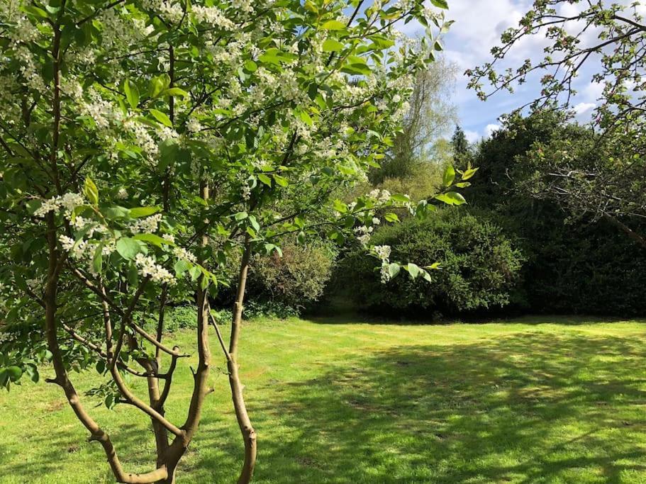 Forestry Cottage. Hot Tub, Open Fire, Dog Friendly Gaywood Eksteriør bilde