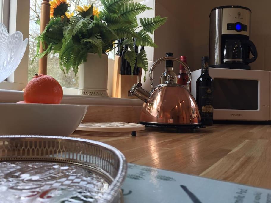 Forestry Cottage. Hot Tub, Open Fire, Dog Friendly Gaywood Eksteriør bilde