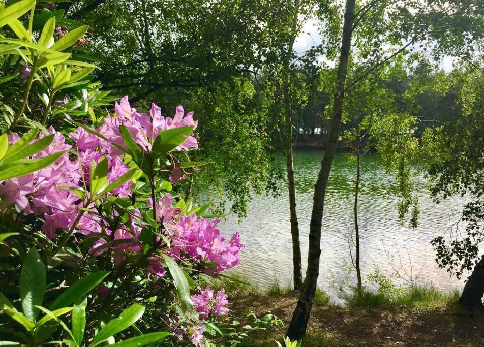 Forestry Cottage. Hot Tub, Open Fire, Dog Friendly Gaywood Eksteriør bilde