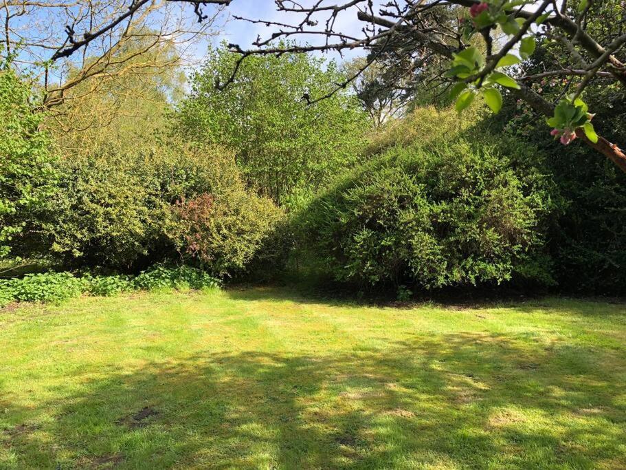 Forestry Cottage. Hot Tub, Open Fire, Dog Friendly Gaywood Eksteriør bilde