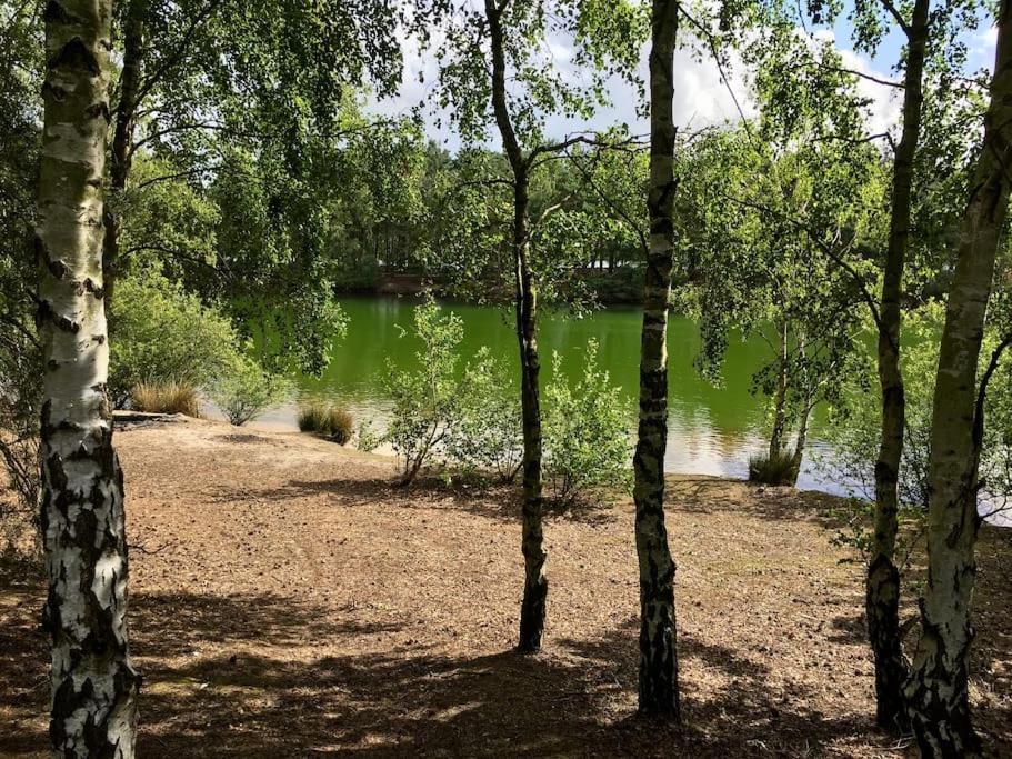 Forestry Cottage. Hot Tub, Open Fire, Dog Friendly Gaywood Eksteriør bilde