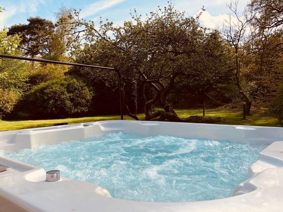 Forestry Cottage. Hot Tub, Open Fire, Dog Friendly Gaywood Eksteriør bilde